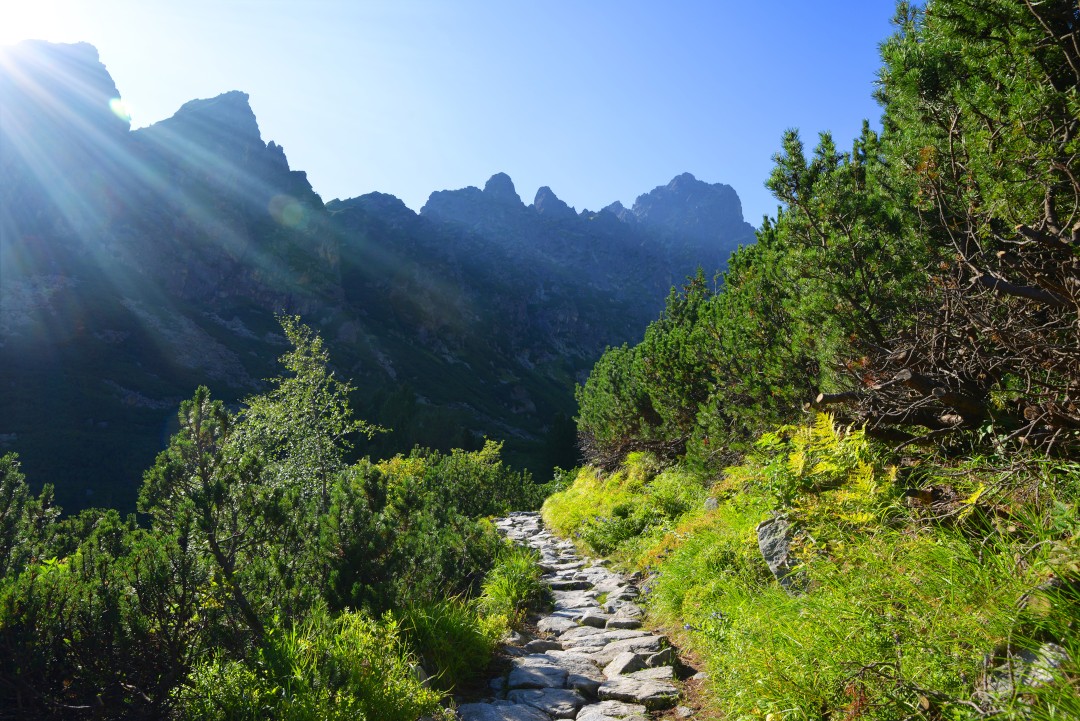 Photo of Tatra Mountains in Slovakia by Vaclav Volrab. For Green Acres Webbing and environmental website design beutification.